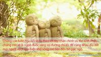 8 điều tôn kính Phật